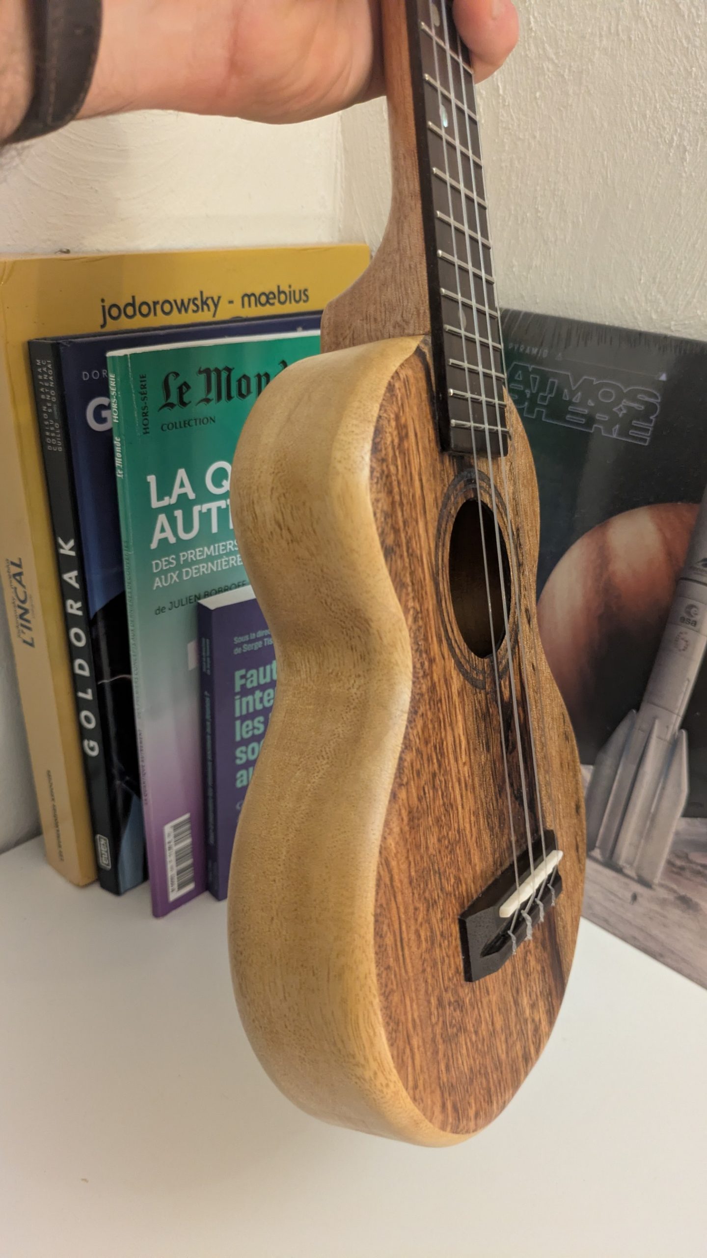 ukulele concert grillon manguier korina – Image 5