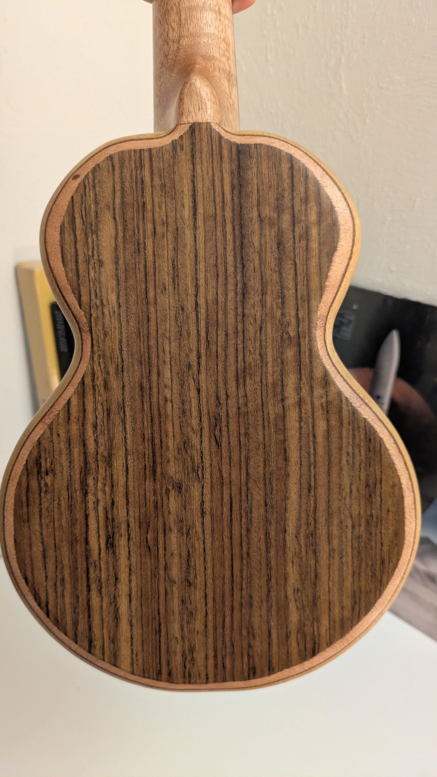 ukulele concert grillon manguier korina – Image 2