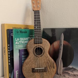 grillon monoxyle manguier