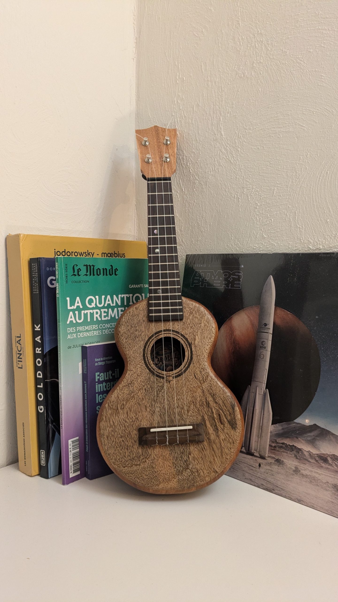 grillon monoxyle manguier