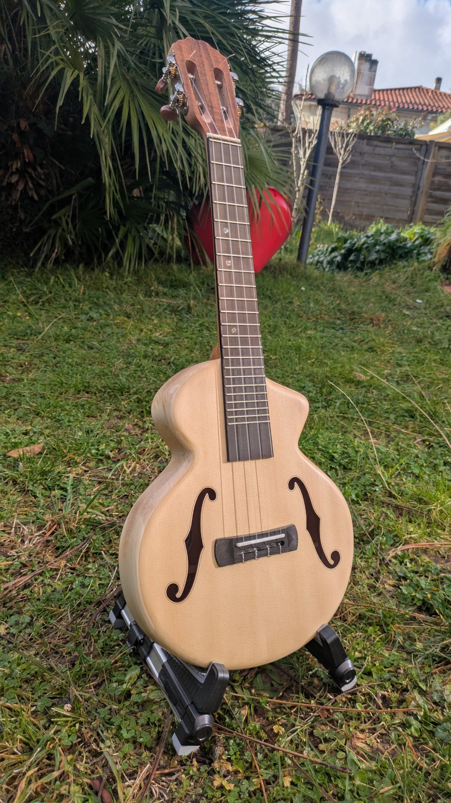 ukulele concert