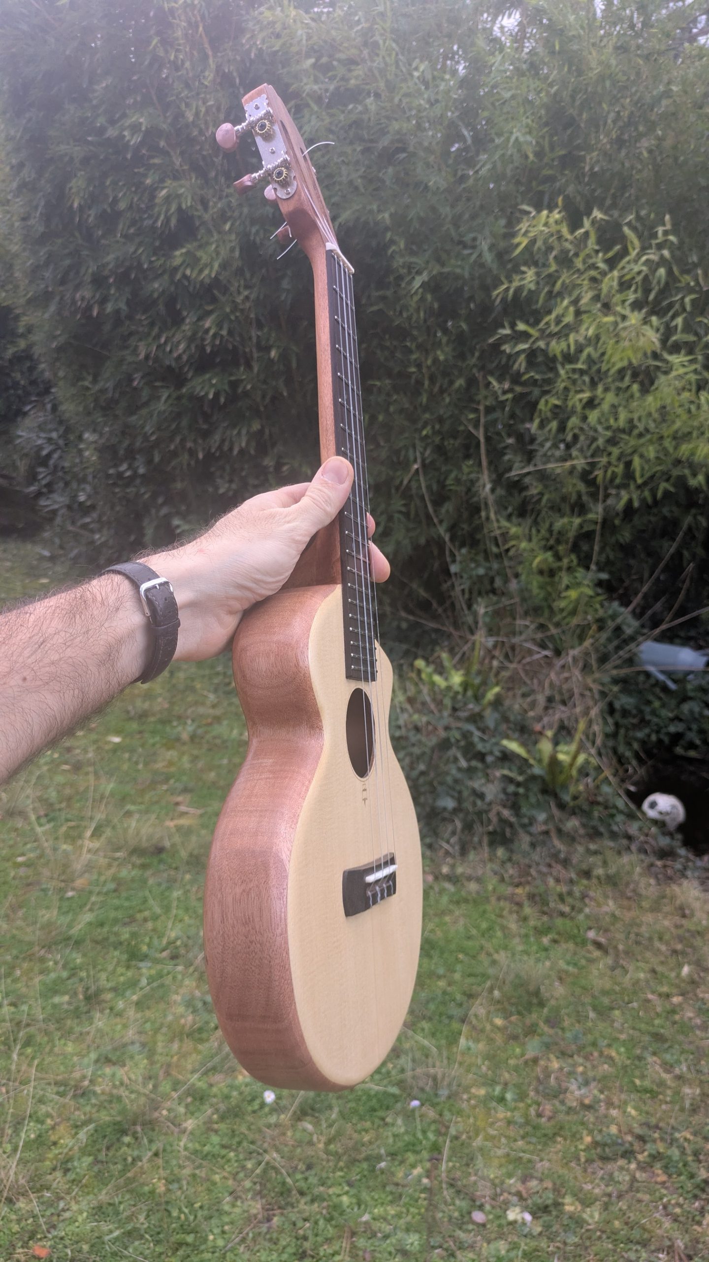 ukulele concert semi monoxyle épicéa – Image 6