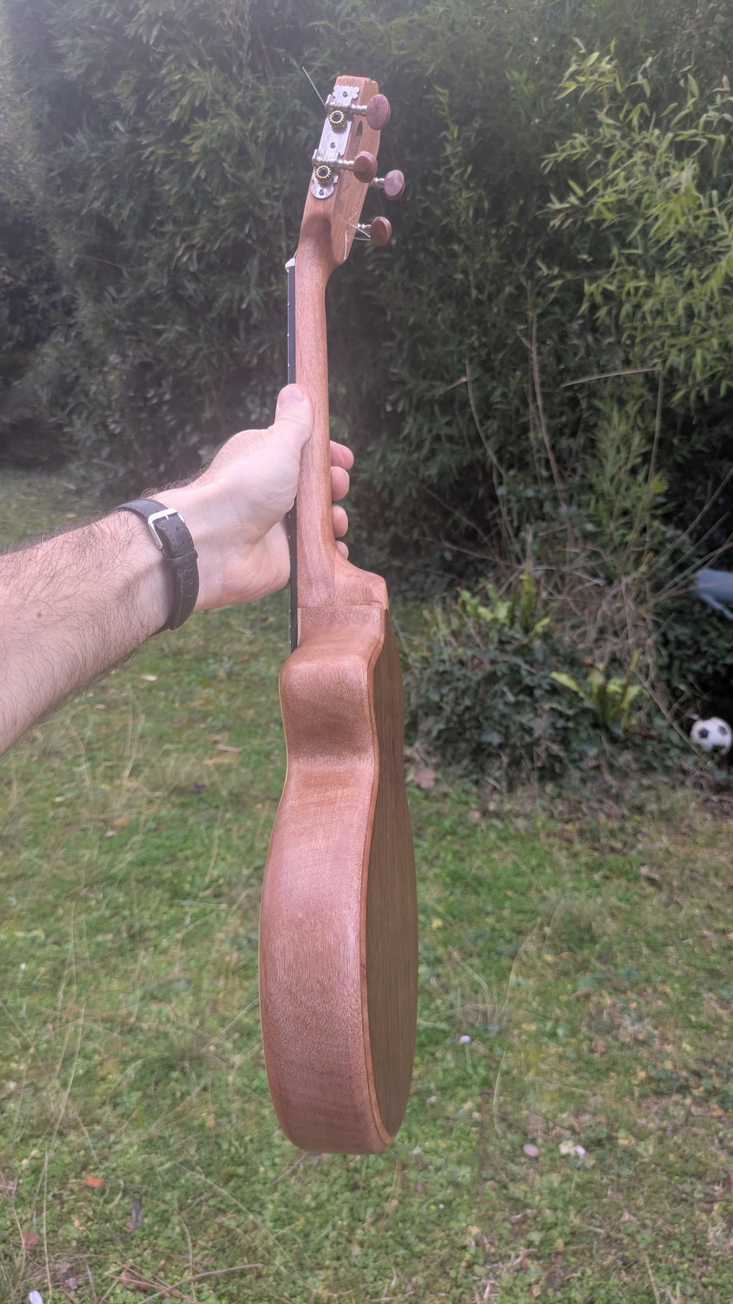 ukulele concert semi monoxyle épicéa – Image 4