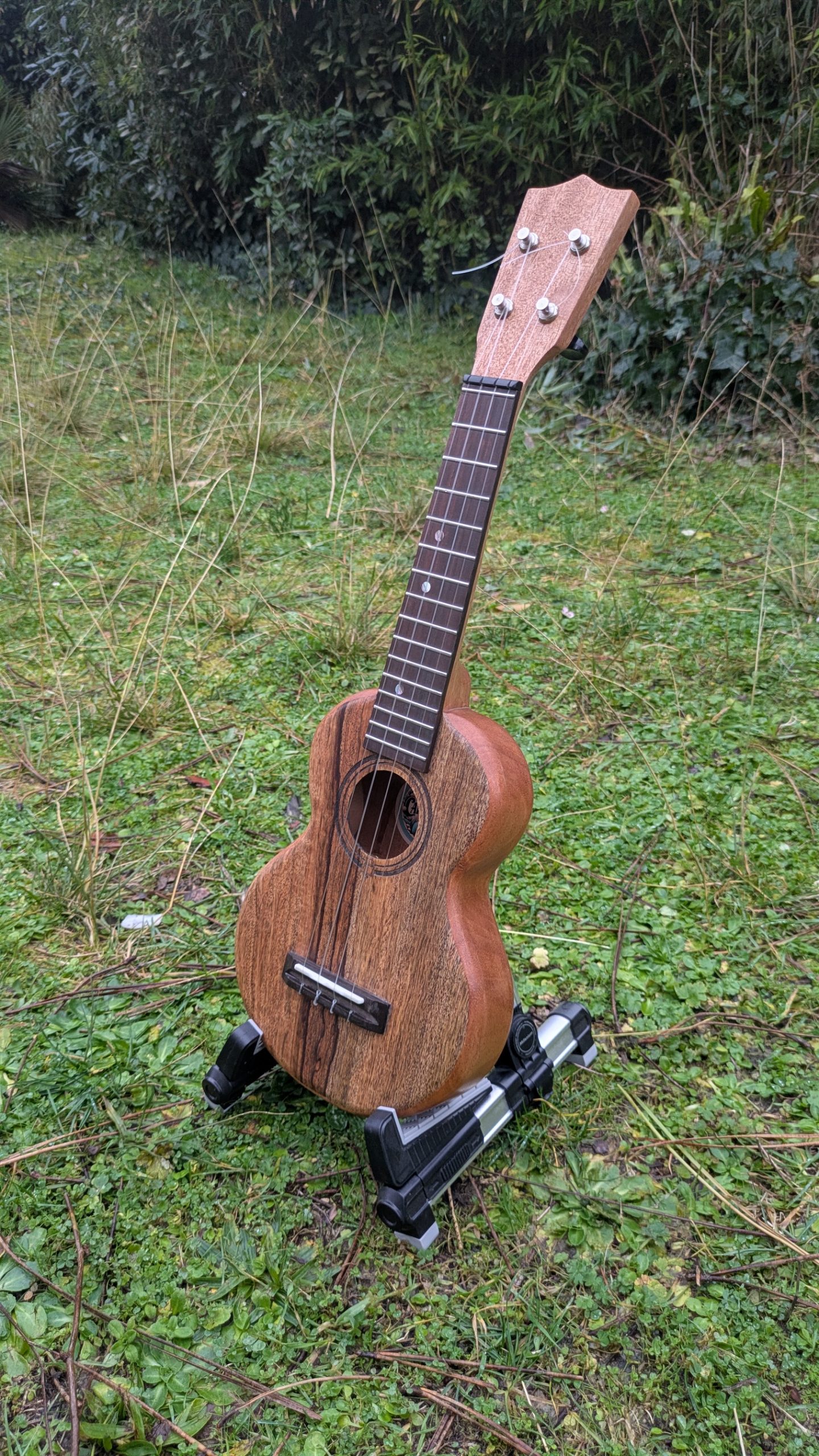 ukulele manguier