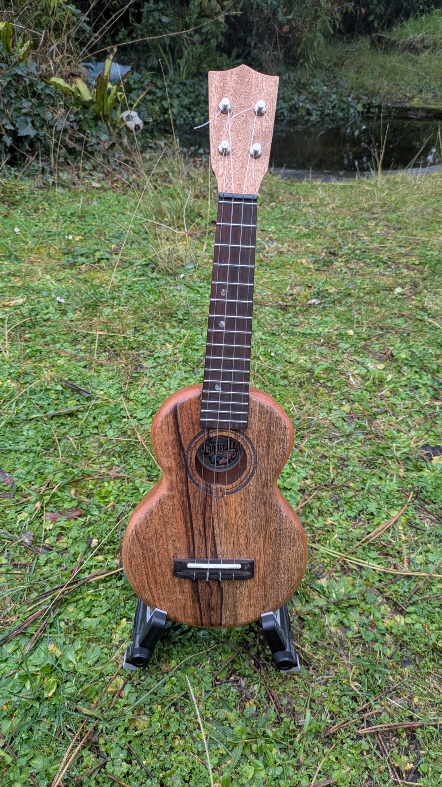 ukulele grillon monoxyle manguier acajou – Image 4