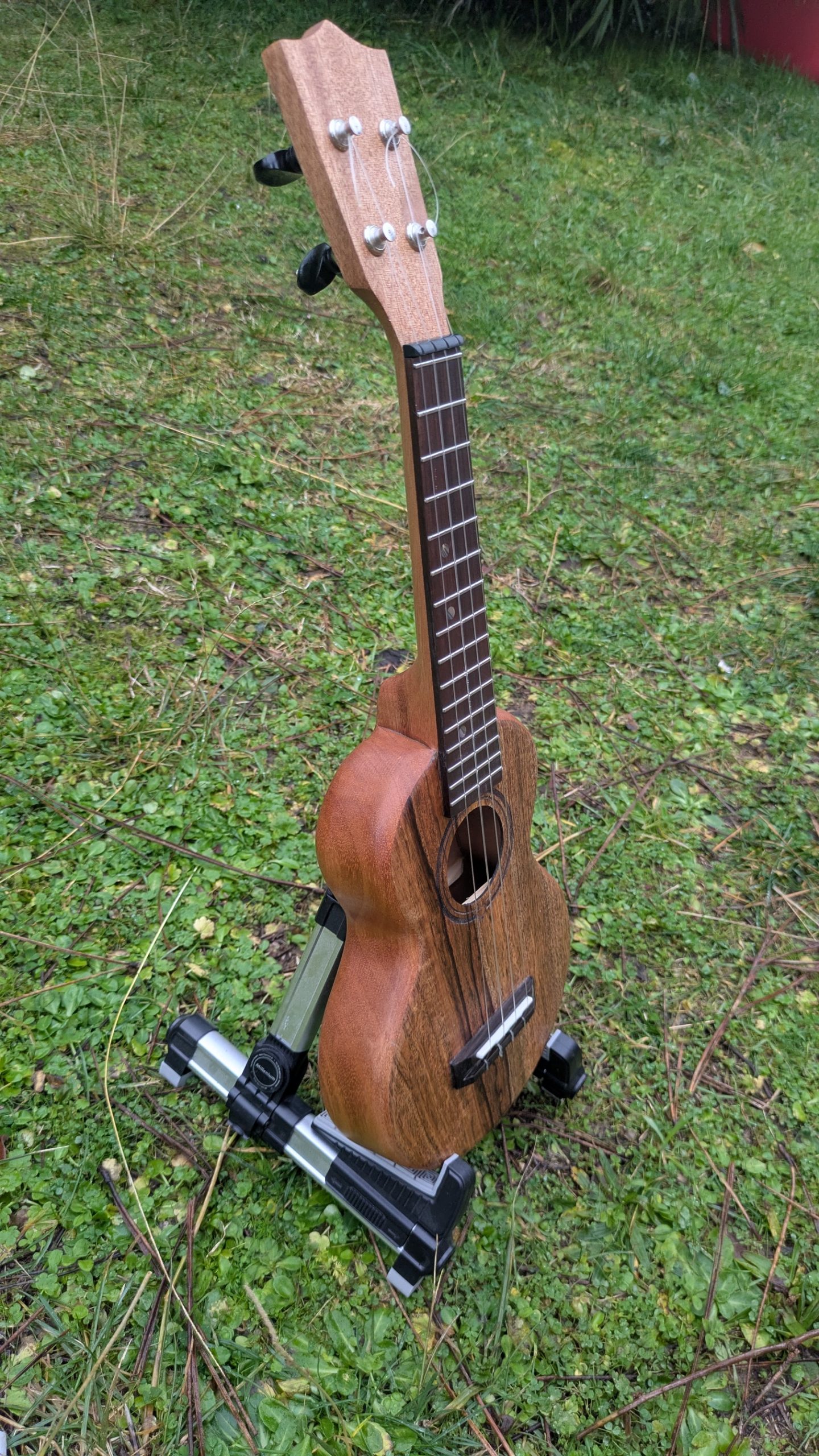 ukulele grillon monoxyle manguier acajou – Image 2