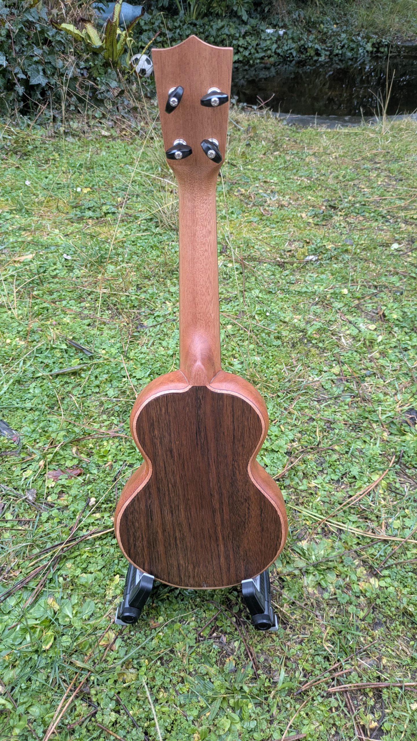 ukulele grillon monoxyle manguier acajou – Image 3