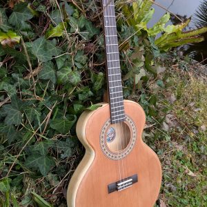 ukulele baryton cèdre