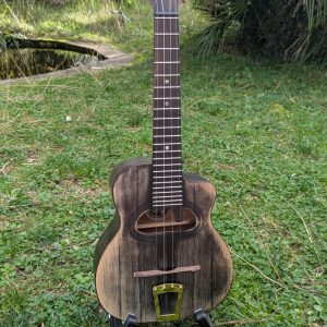 ukulele concert jazz