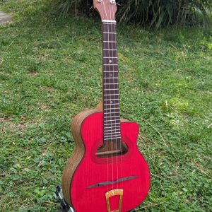 ukulele concert jazz manouche