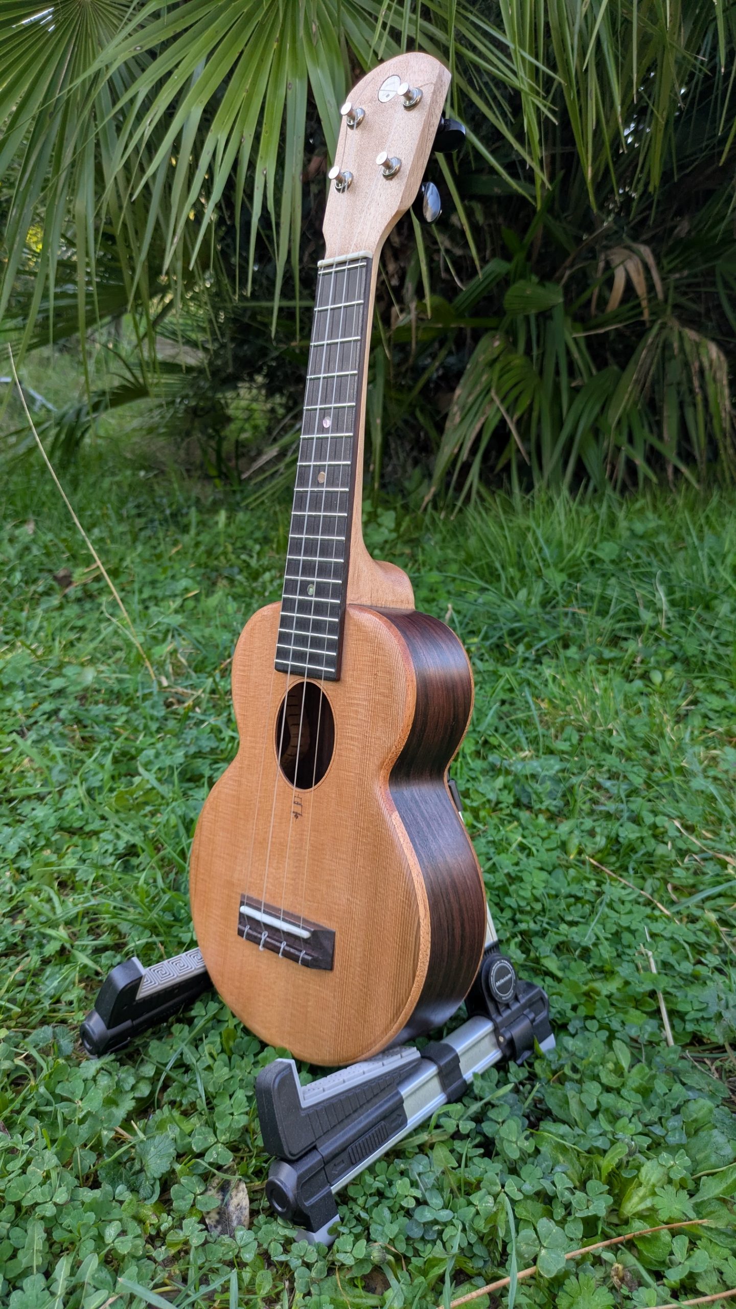 ukulele soprano palissandre indien cèdre