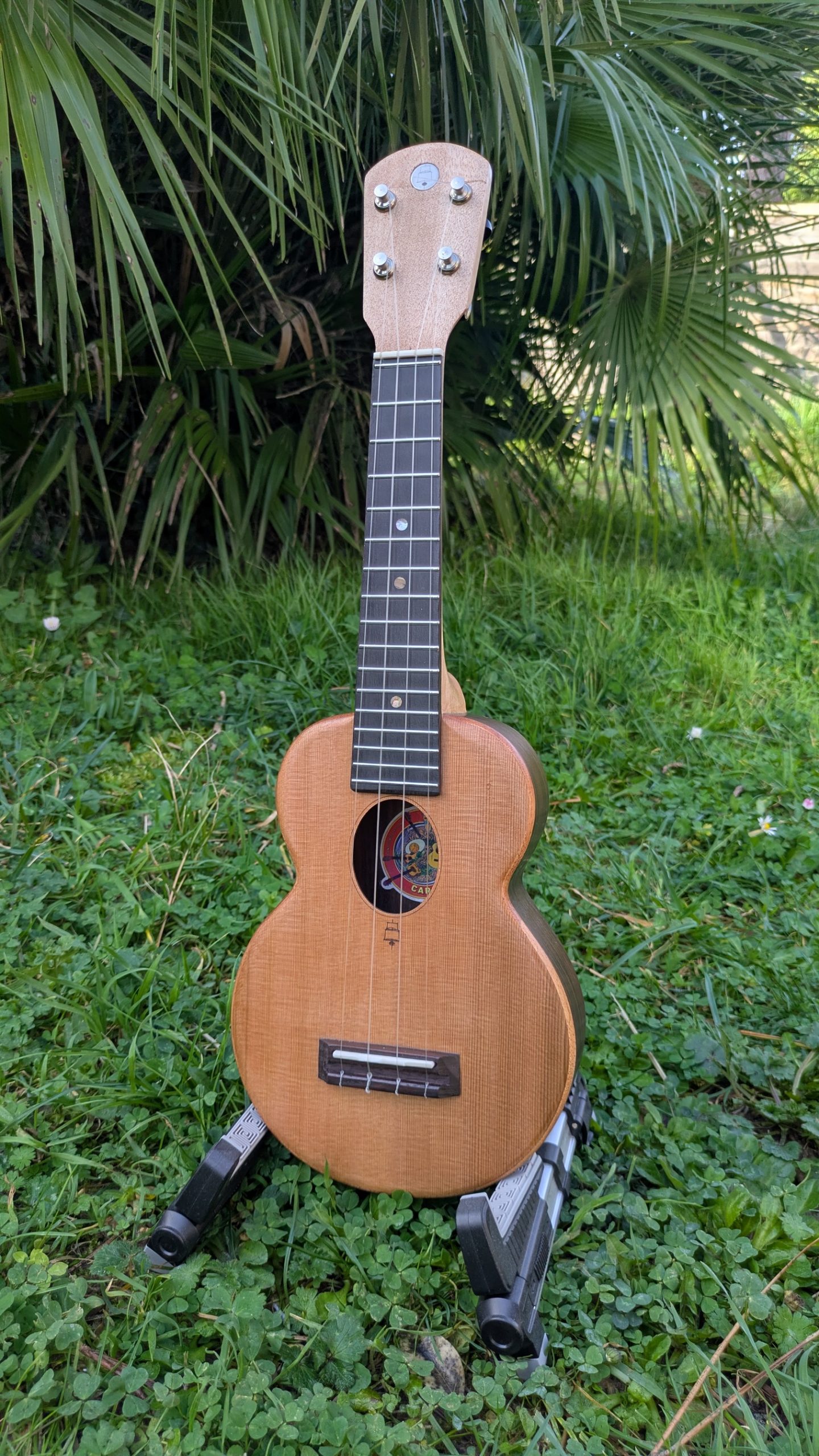 ukulele soprano cèdre palissandre