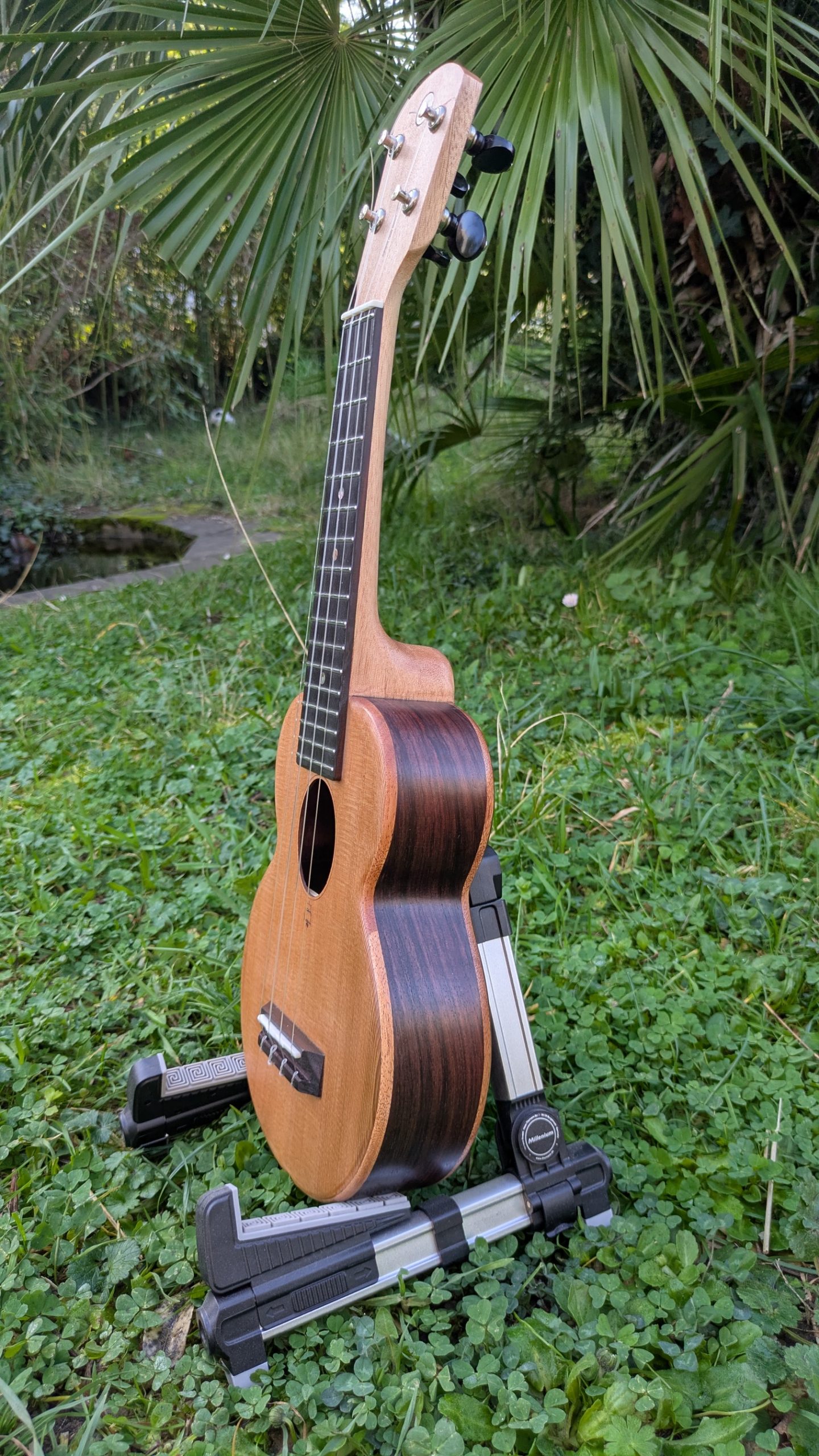 ukulele soprano mi cintré mi monoxyle cèdre palissandre indien – Image 3