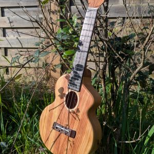 ukulele concert pinus insularis