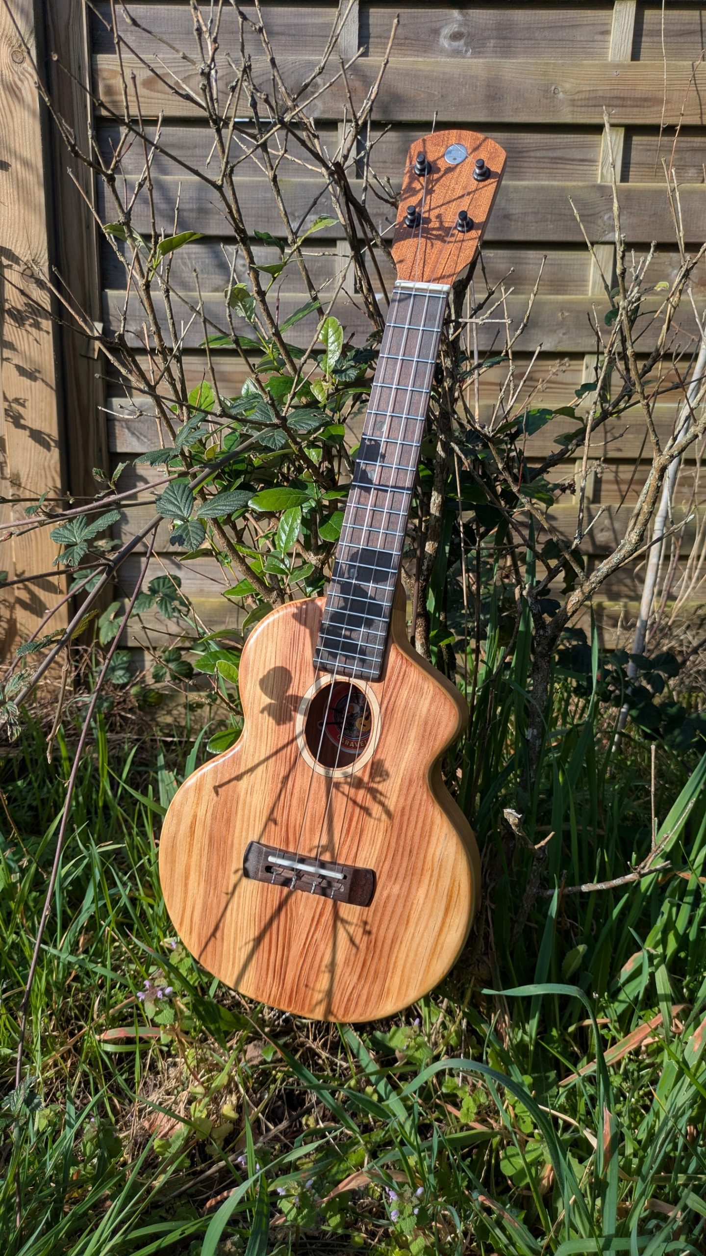 ukulele concert "the lobster" mi cintré mi monoxyle pinus insularis – Image 7