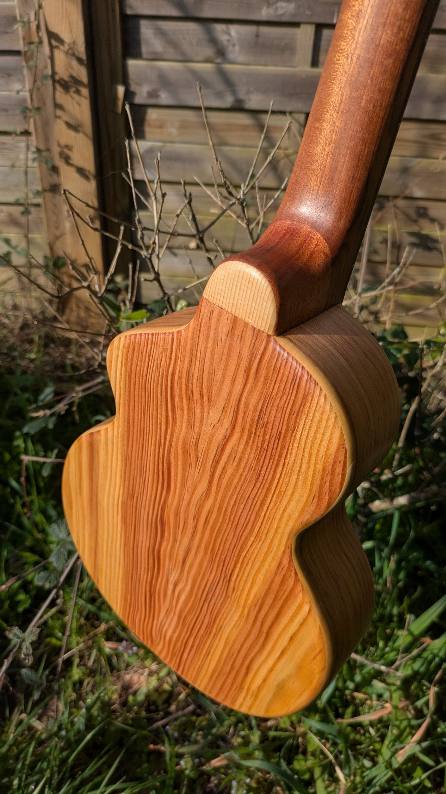 ukulele concert "the lobster" mi cintré mi monoxyle pinus insularis – Image 5