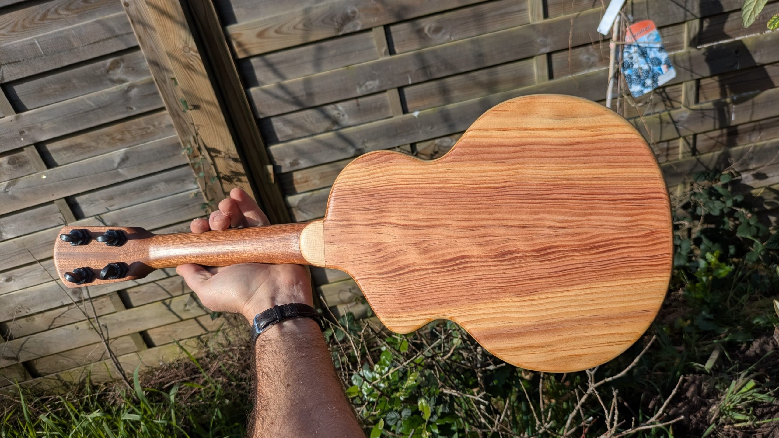 ukulele concert "the lobster" mi cintré mi monoxyle pinus insularis – Image 6