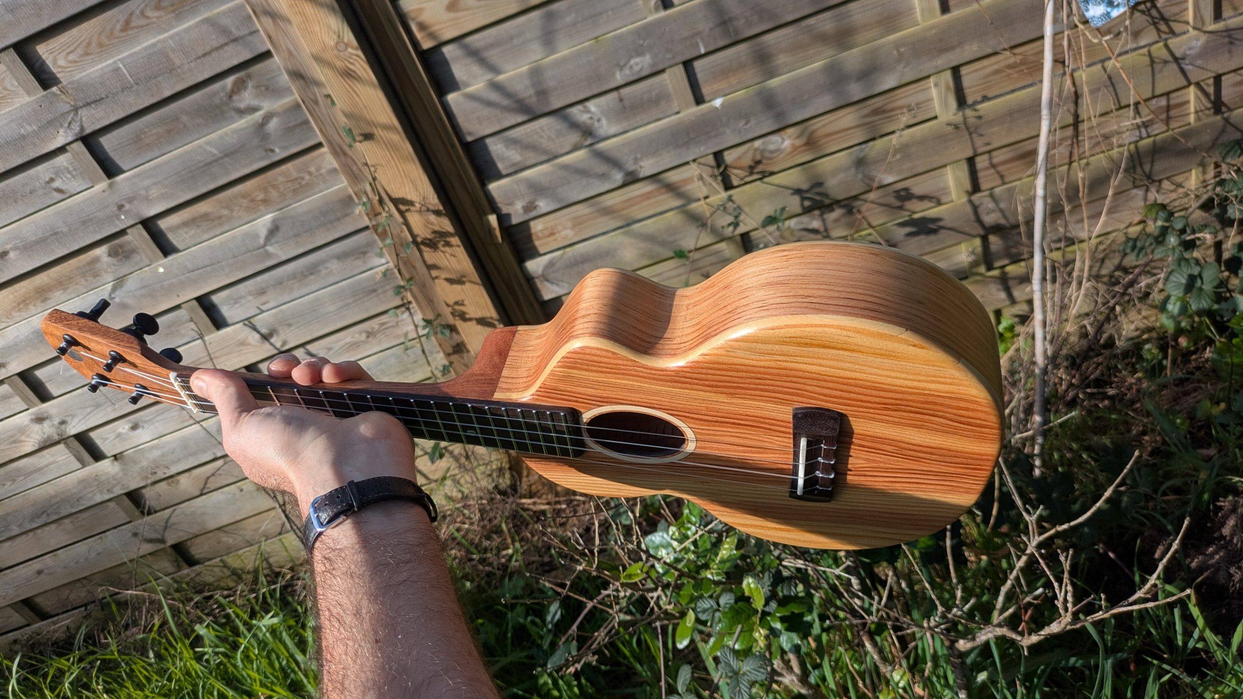 ukulele concert "the lobster" mi cintré mi monoxyle pinus insularis – Image 3