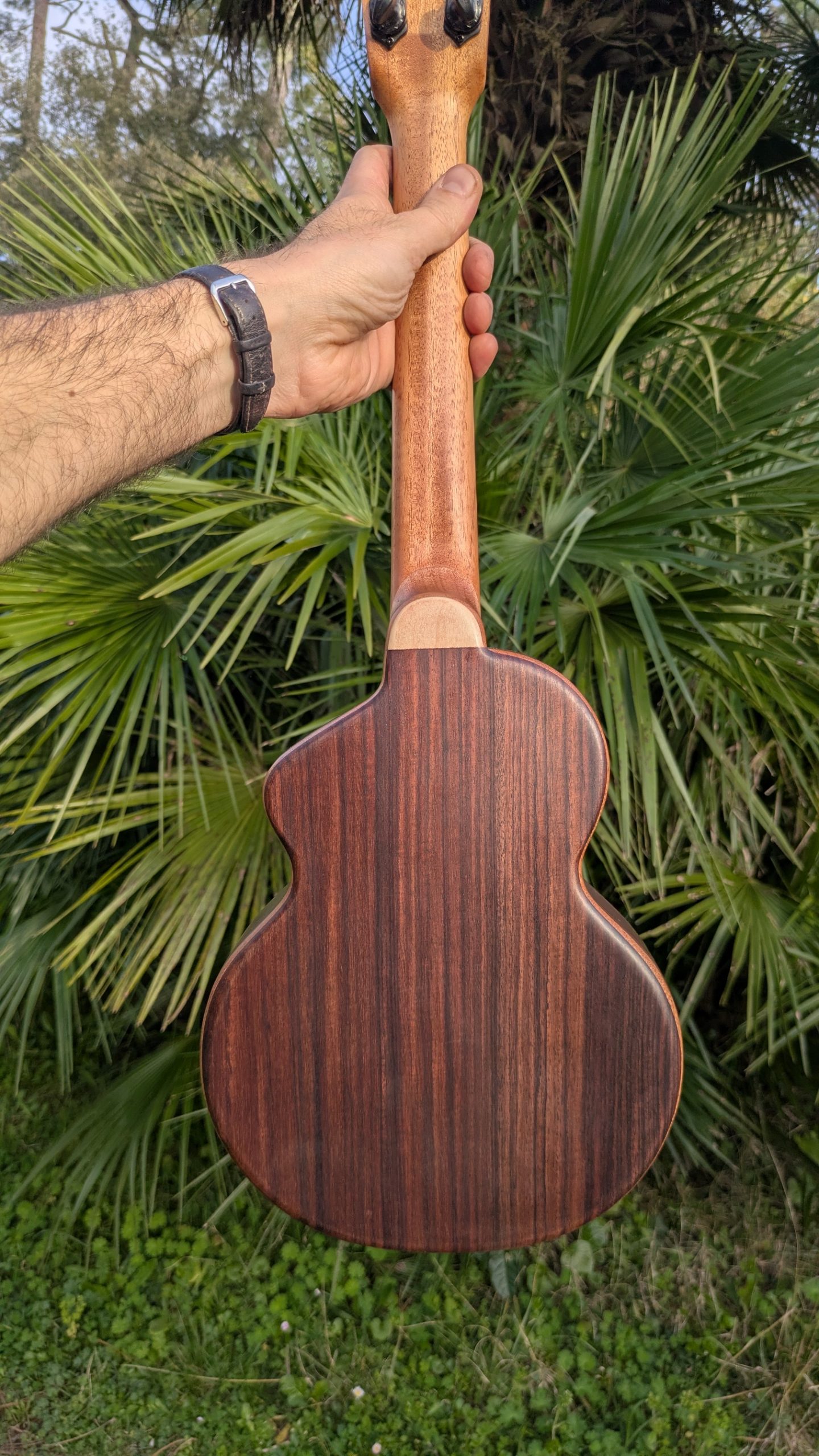 ukulele baby tenor "the lobster" mi cintré mi monoxyle épicéa palissandre – Image 2