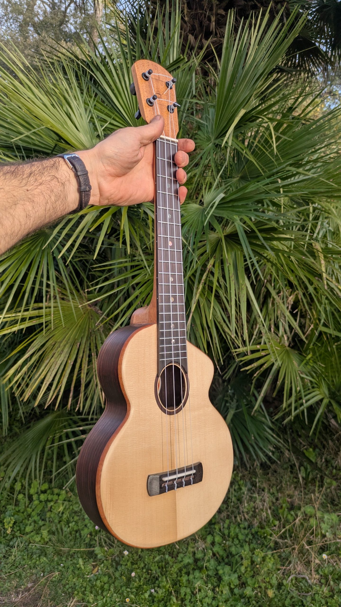 ukulele baby tenor