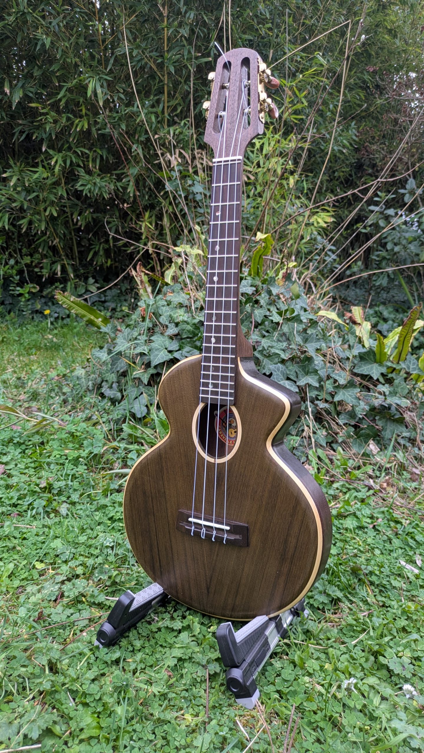 ukulele tenor monoxyle cèdre ancien