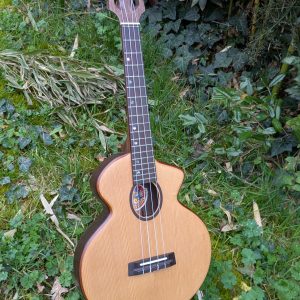 ukulele tenor monoxyle custom