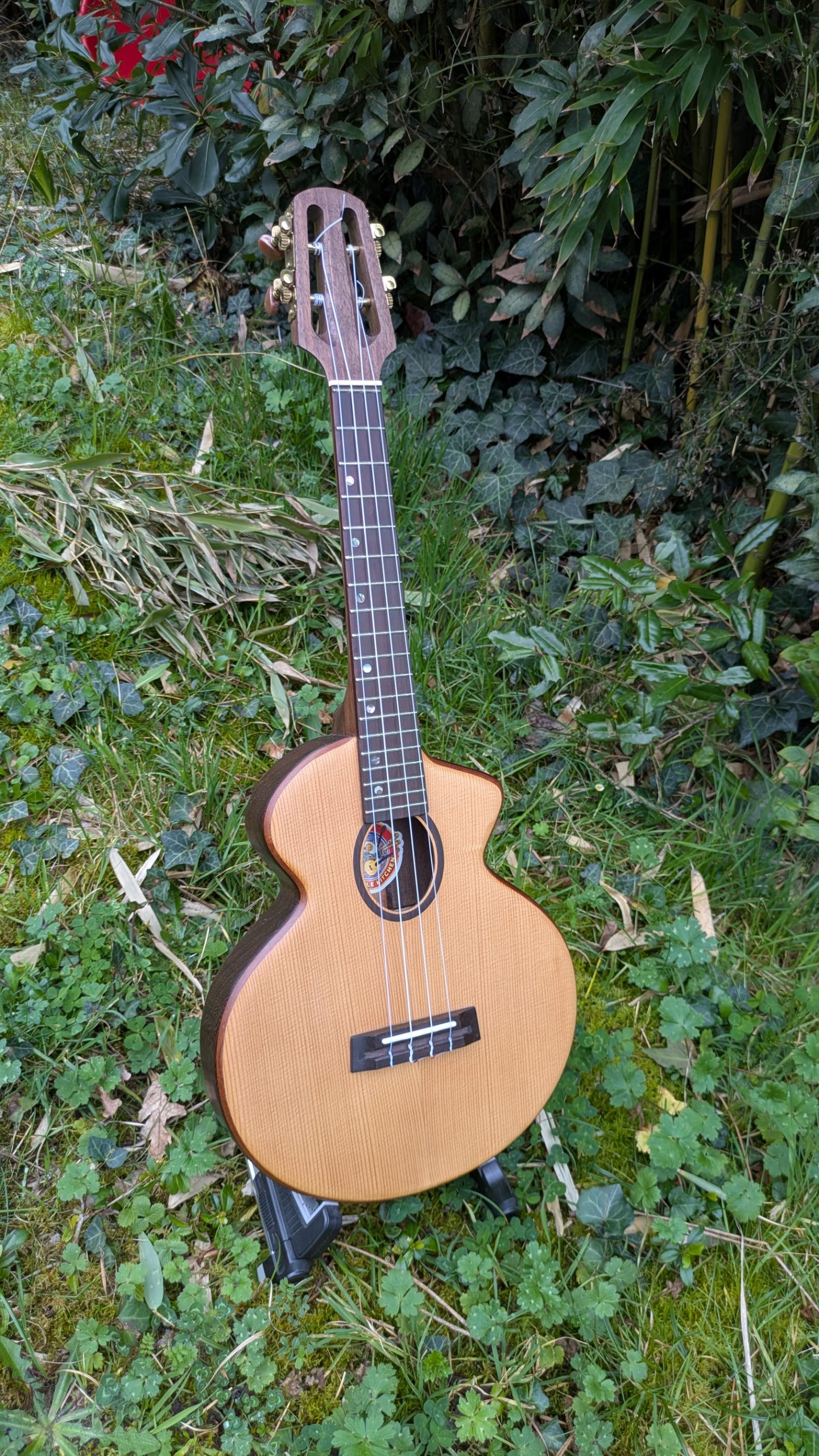 ukulele tenor monoxyle custom