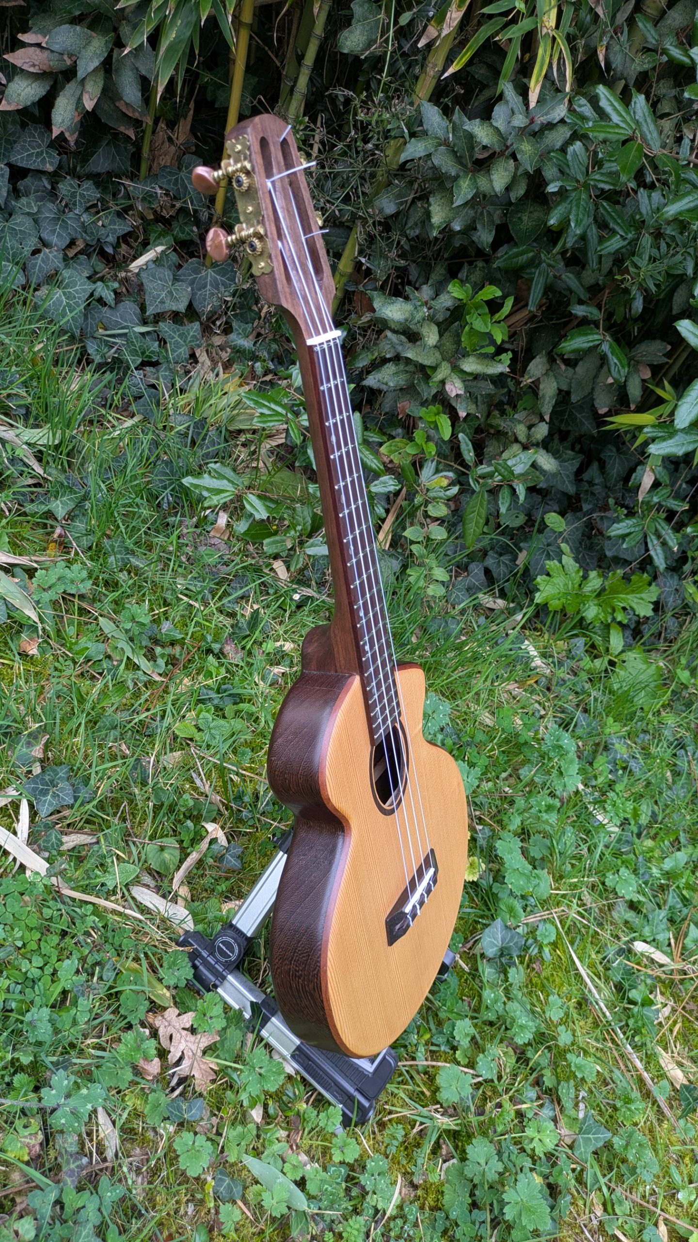 ukulele ténor monoxyle custom épicéa torréfié wengé – Image 4