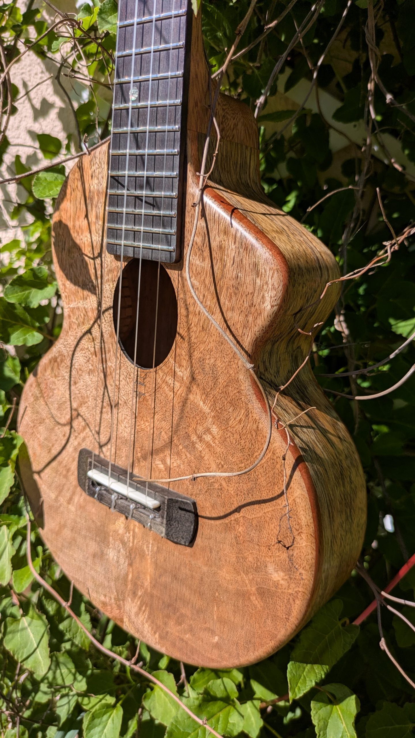 ukulele concert mi cintré mi monoxyle "lobster" tout manguier – Image 7