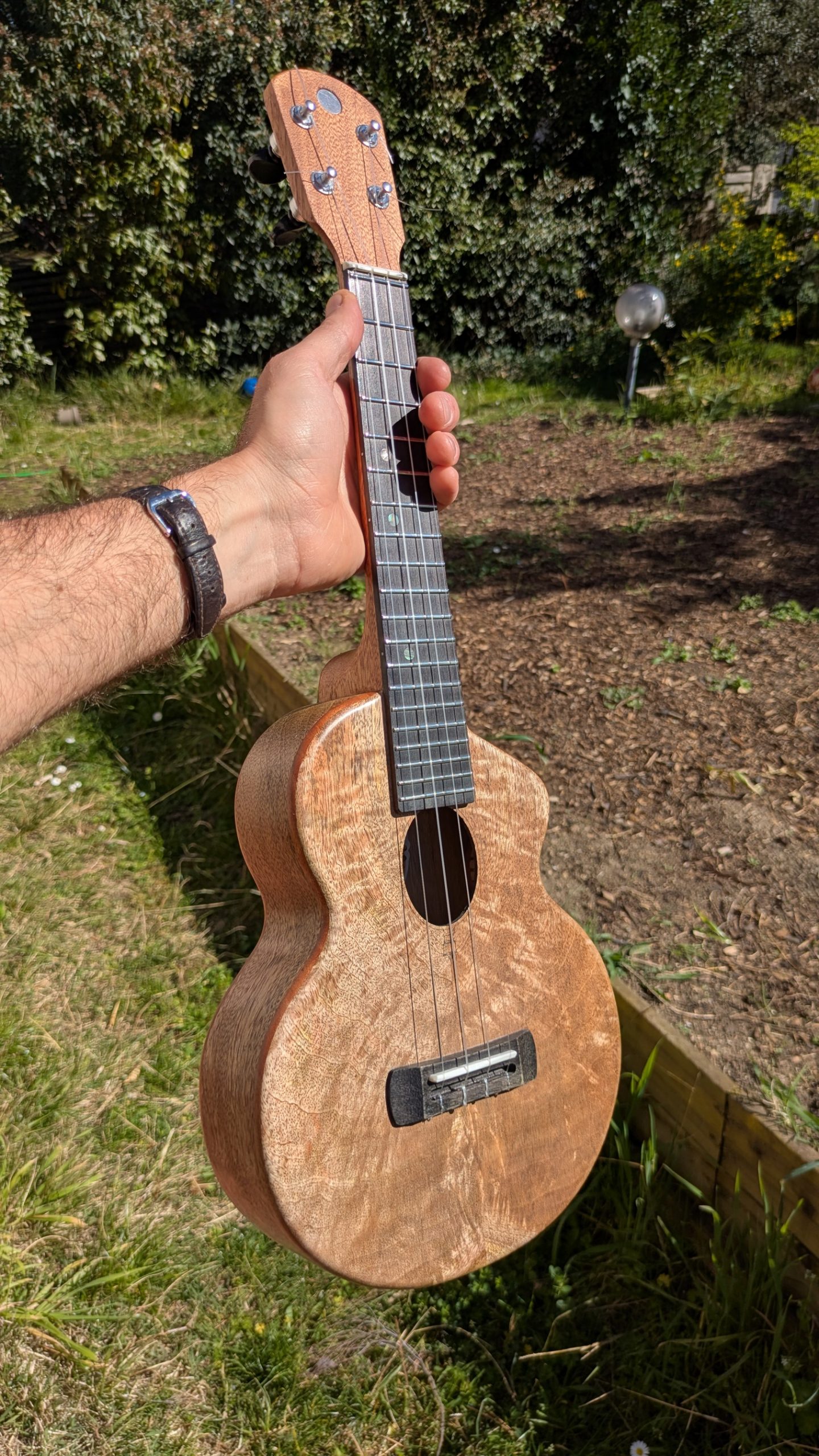 ukulele concert manguier