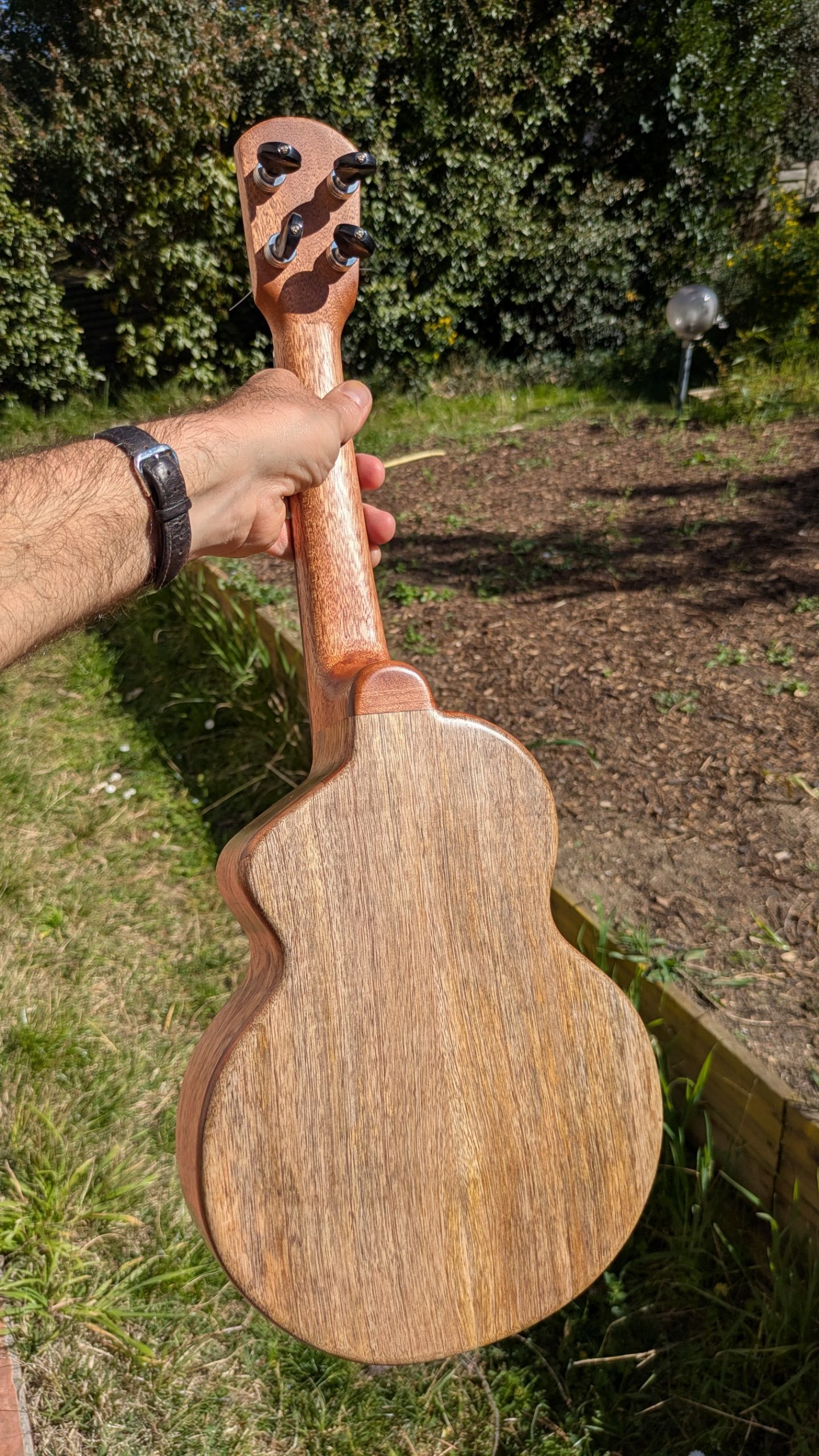 ukulele concert mi cintré mi monoxyle "lobster" tout manguier – Image 6