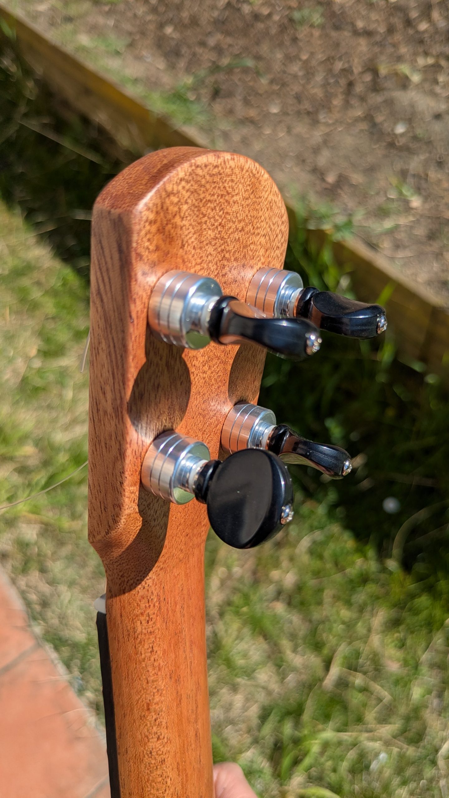 ukulele concert mi cintré mi monoxyle "lobster" tout manguier – Image 2