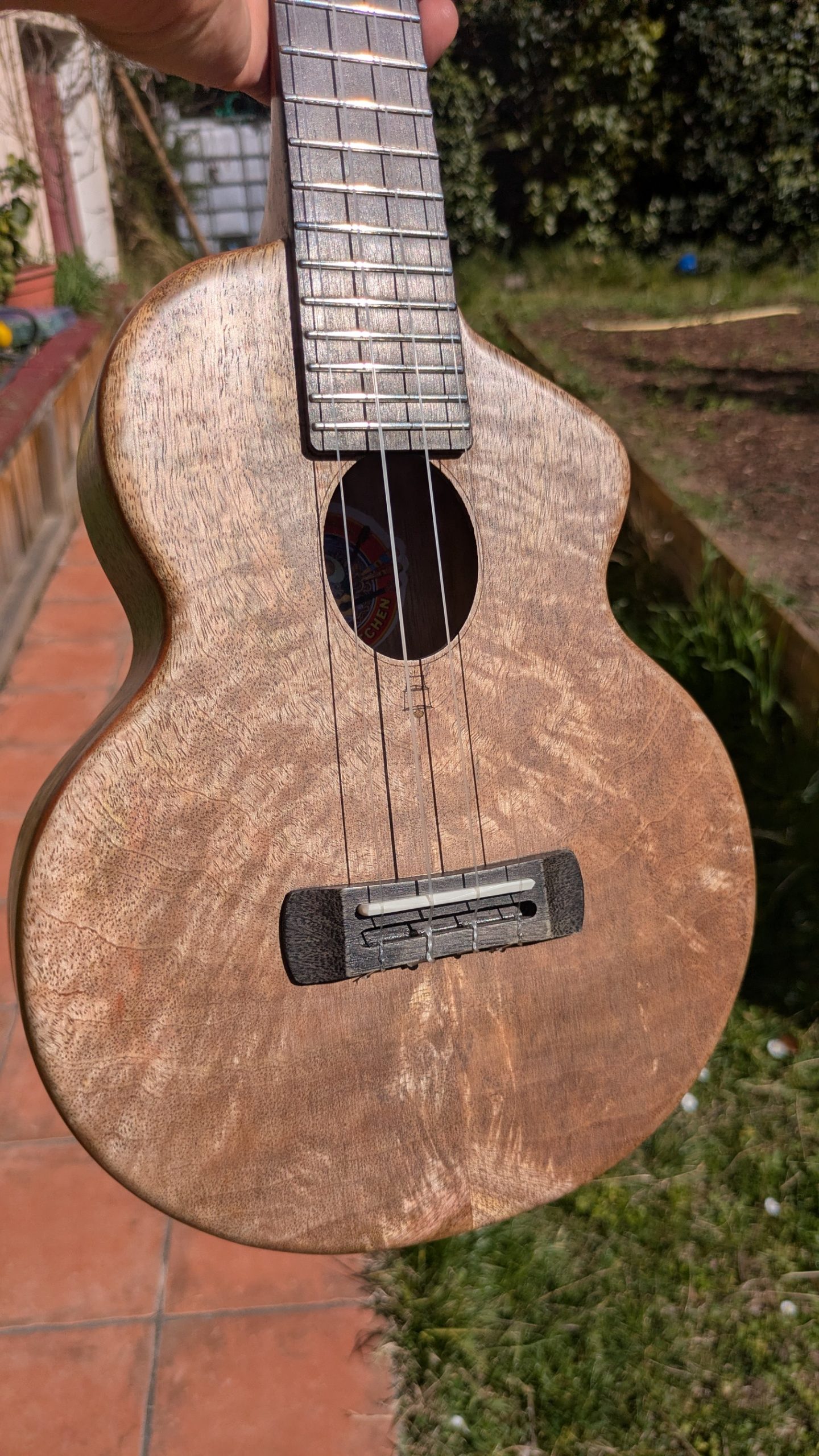 ukulele concert mi cintré mi monoxyle "lobster" tout manguier – Image 4