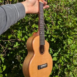 ukulele concert épicéa torréfié