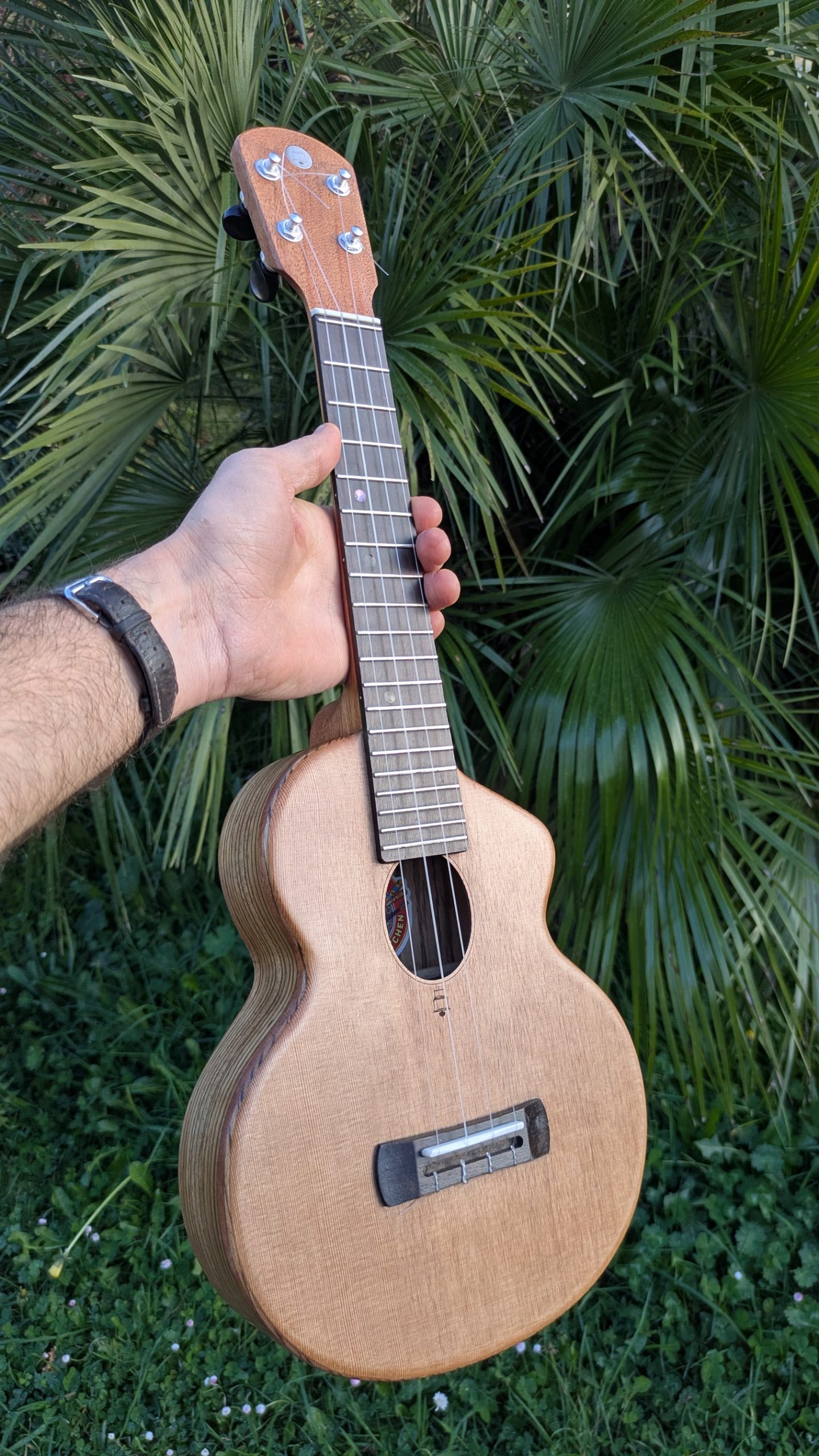 ukulele concert "lobster"mi monoxyle mi cintré cèdre et zingana – Image 3