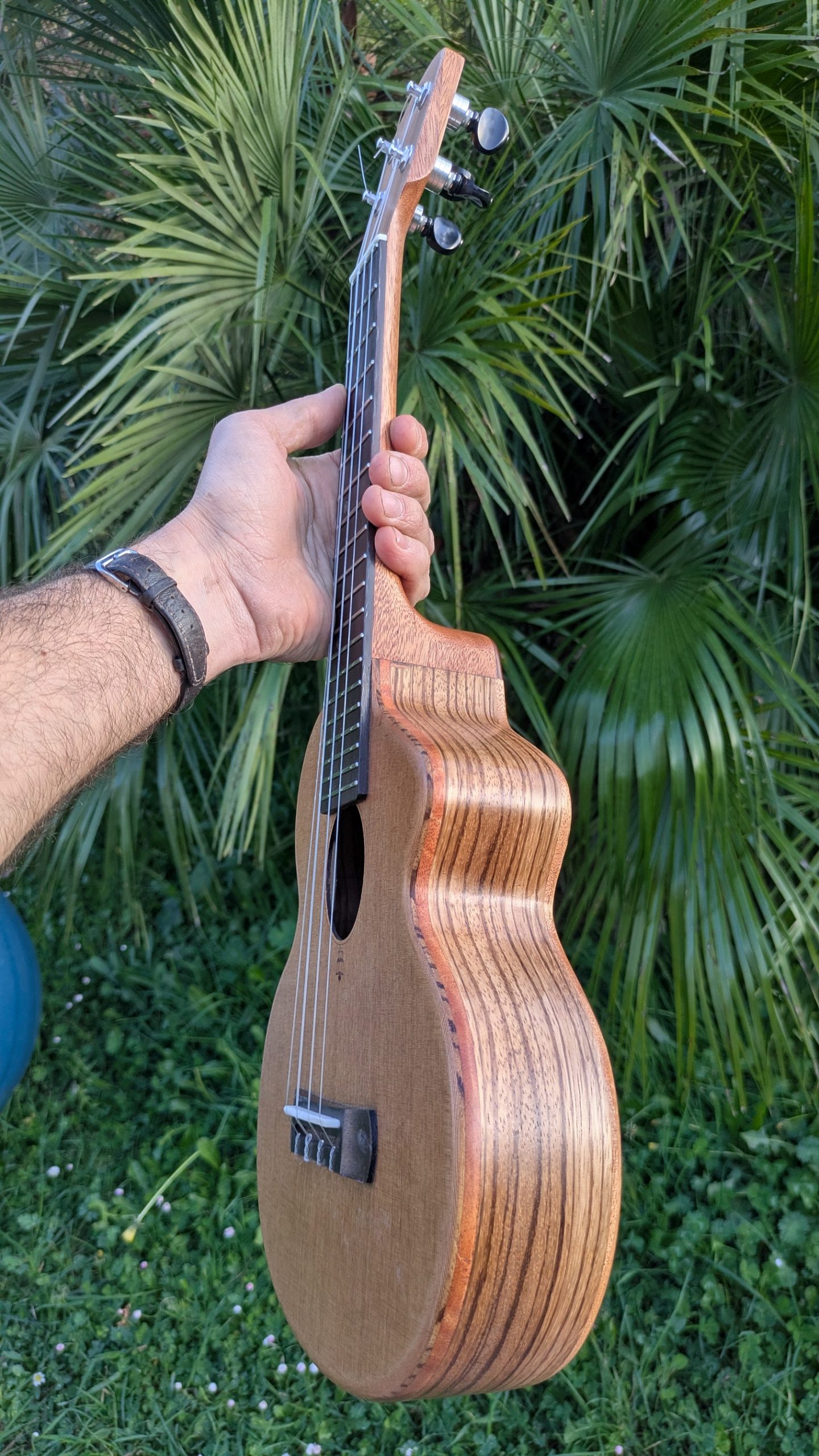 ukulele concert "lobster"mi monoxyle mi cintré cèdre et zingana – Image 2