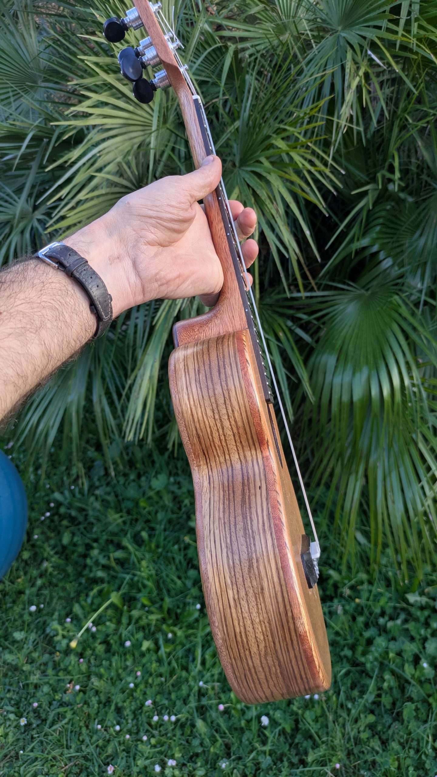 ukulele concert "lobster"mi monoxyle mi cintré cèdre et zingana – Image 4