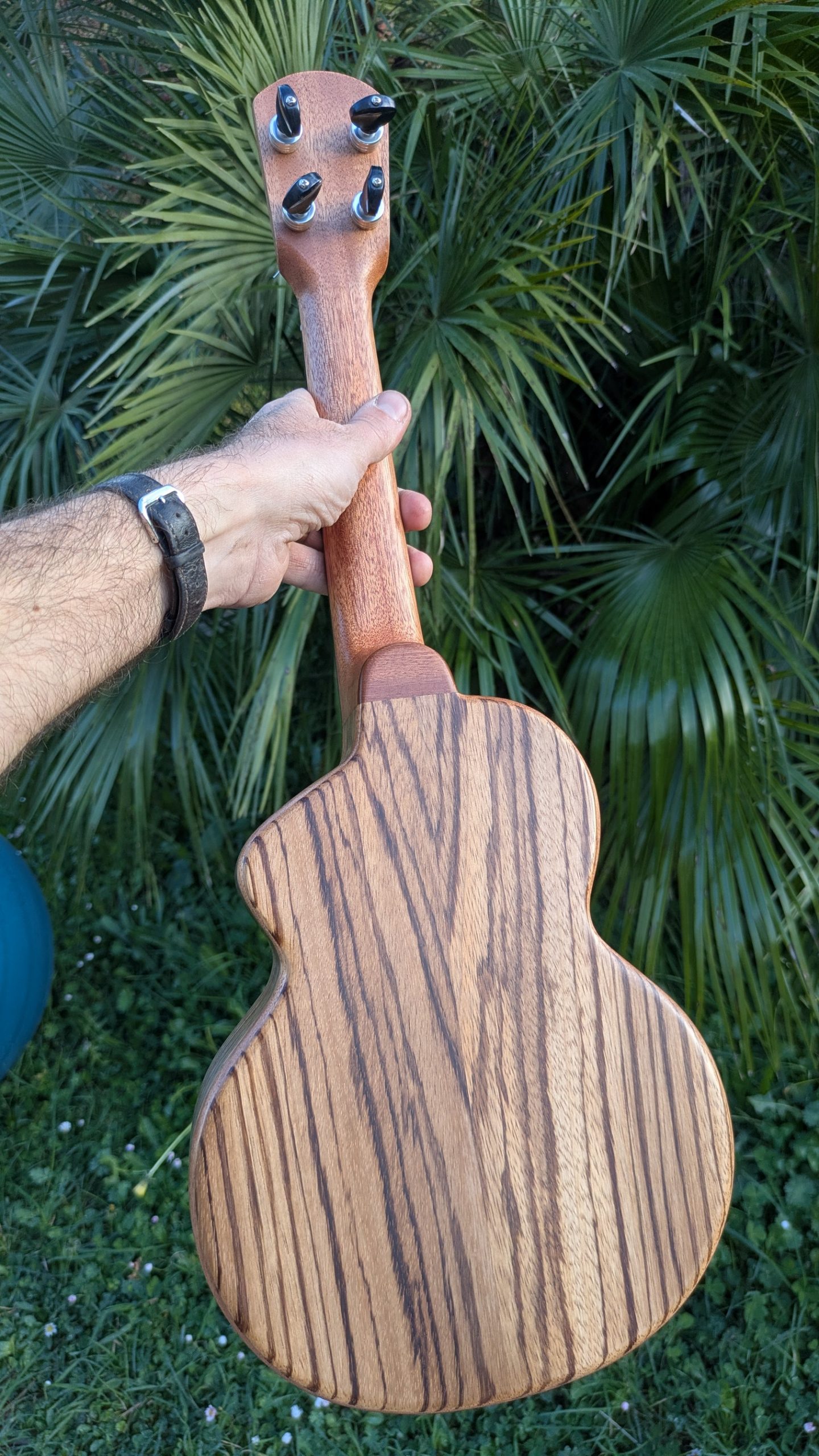 ukulele concert "lobster"mi monoxyle mi cintré cèdre et zingana – Image 5