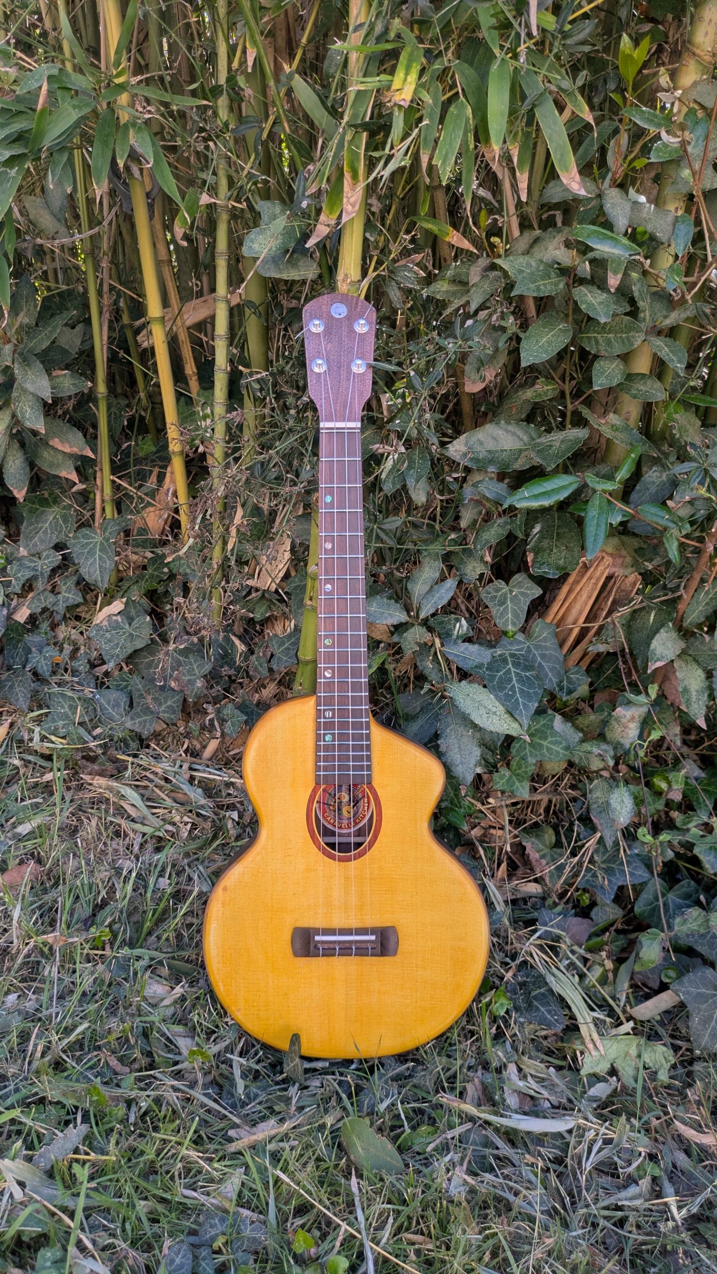 ukulele tenor lobster mi cintré mi monoxyle épicéa palissandre – Image 2