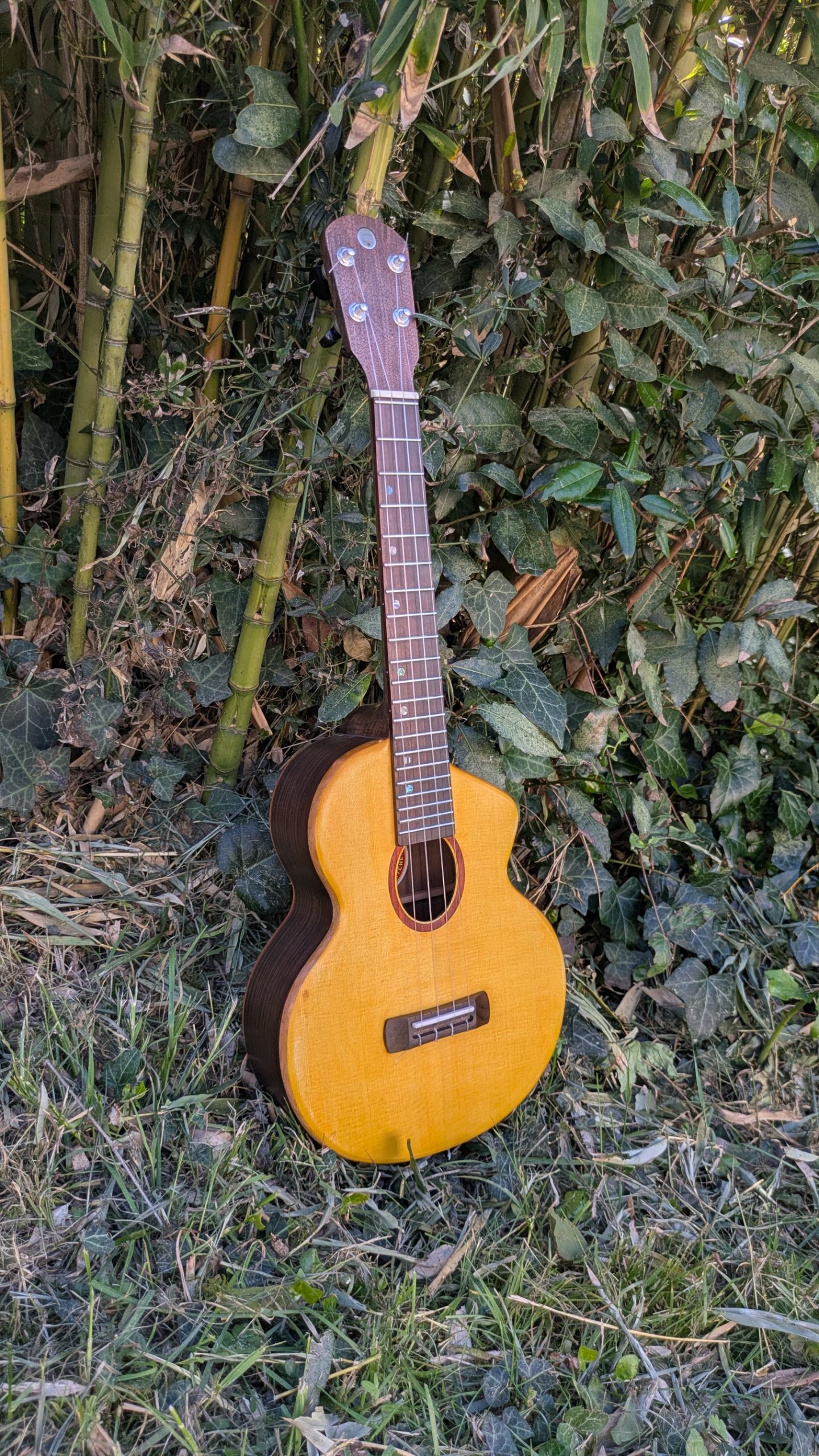 ukulele tenor épicéa palissandre