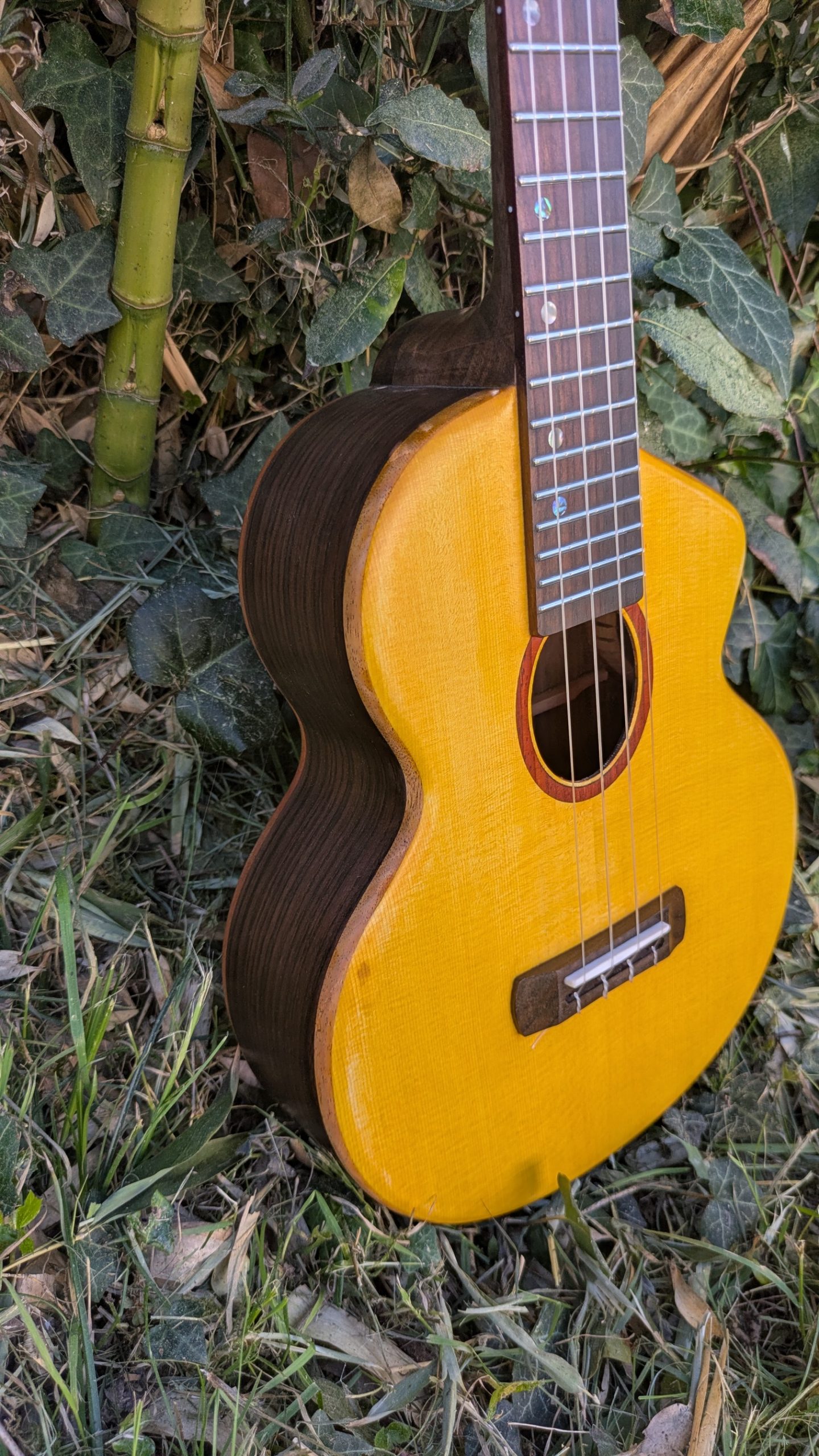 ukulele tenor lobster mi cintré mi monoxyle épicéa palissandre – Image 4