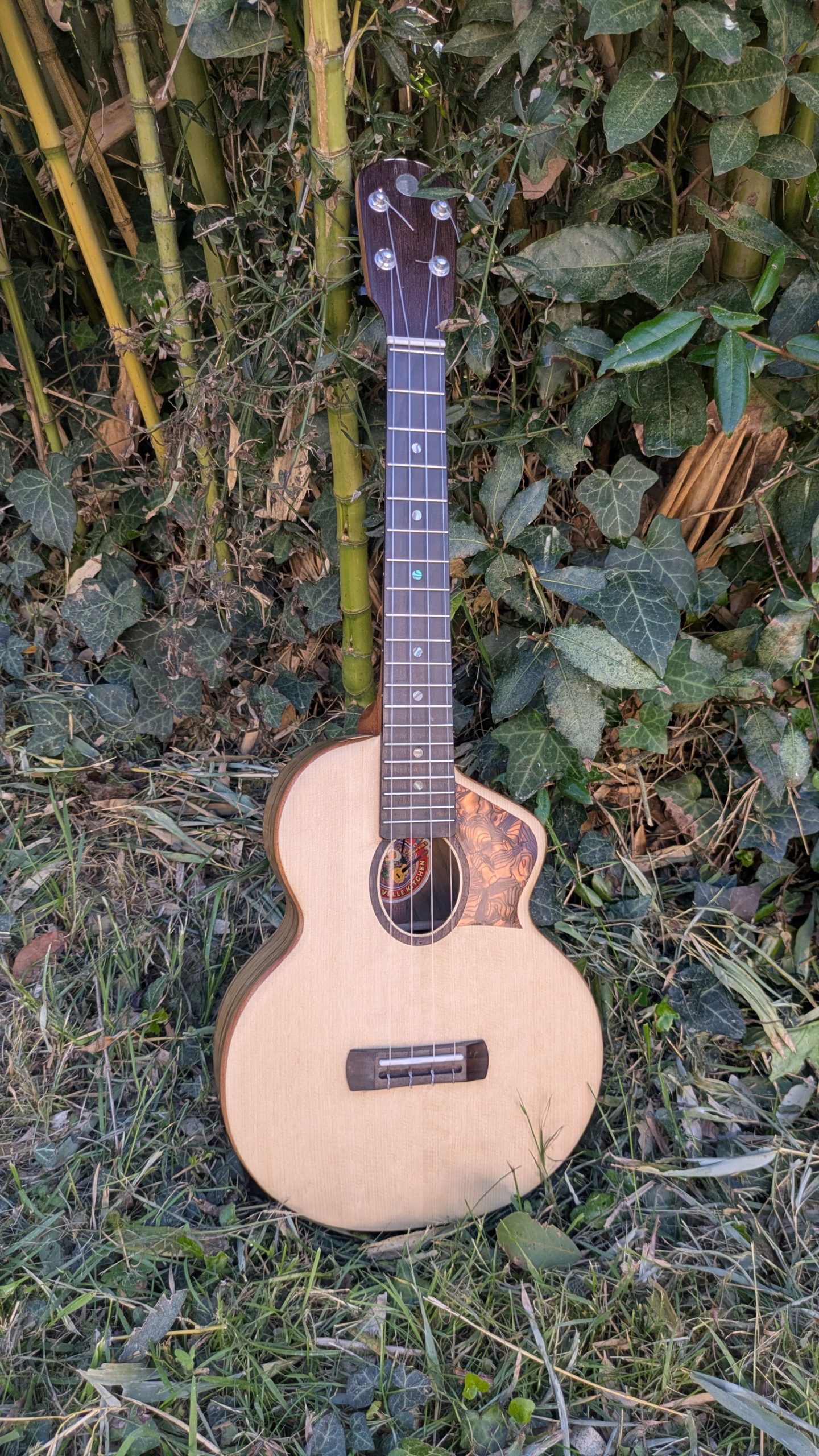 ukulele tenor mi cintré mi monoxyle épicéa ébène exotique – Image 2