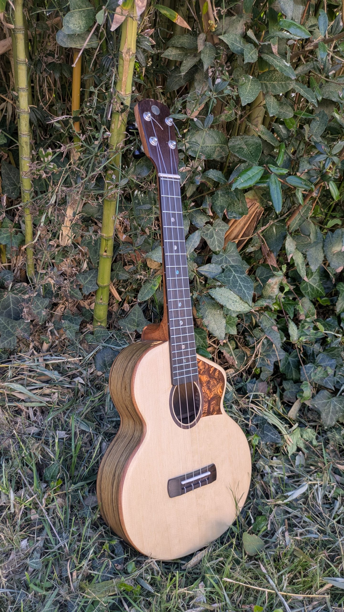 ukulele tenor épocéa ébène exotique
