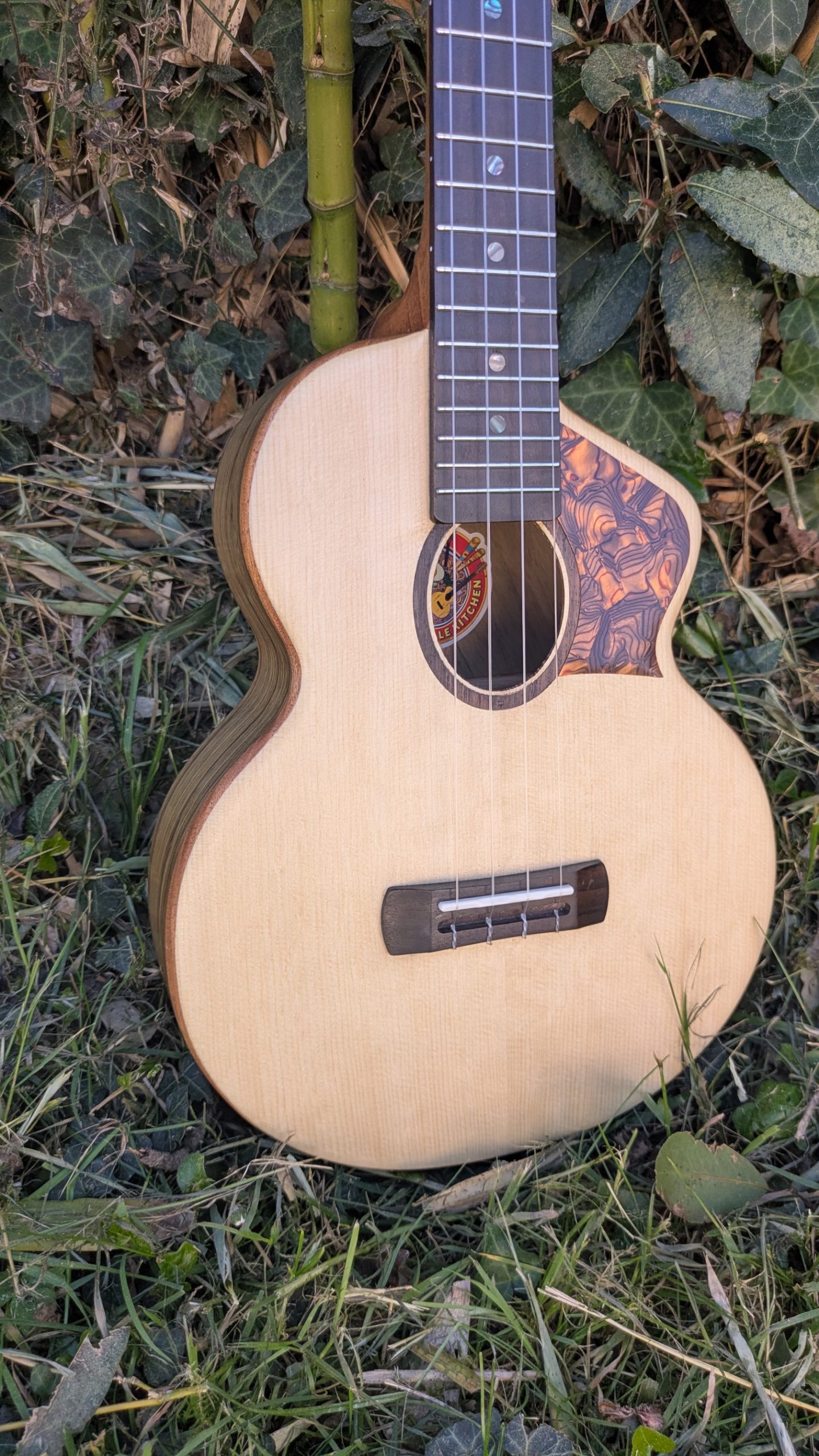 ukulele tenor mi cintré mi monoxyle épicéa ébène exotique – Image 4